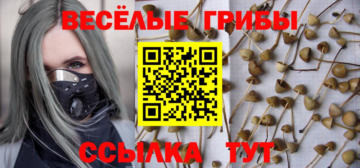 Псилоцибиновые грибы Cubensis  Вход с VPN  Сыктывкар  Псилоцибиновые грибы прущие грибы 